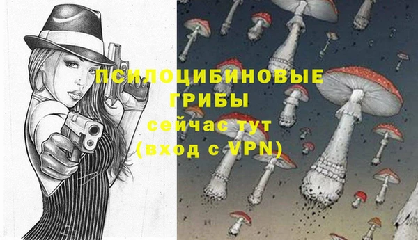 ПСИЛОЦИБИНОВЫЕ ГРИБЫ Богородицк