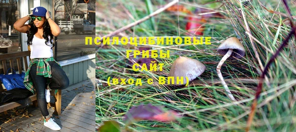 марки nbome Богданович