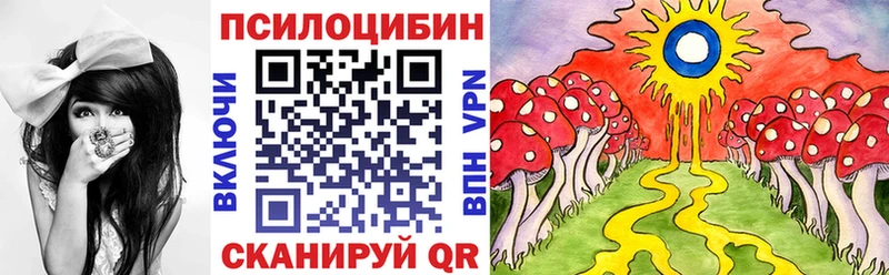 где продают наркотики Острогожск Псилоцибиновые грибы ЛСД
