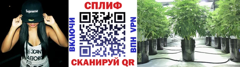 Канабис индика Острогожск